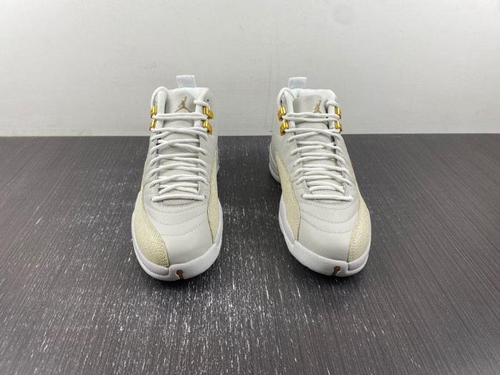air jordan 12 aj120221